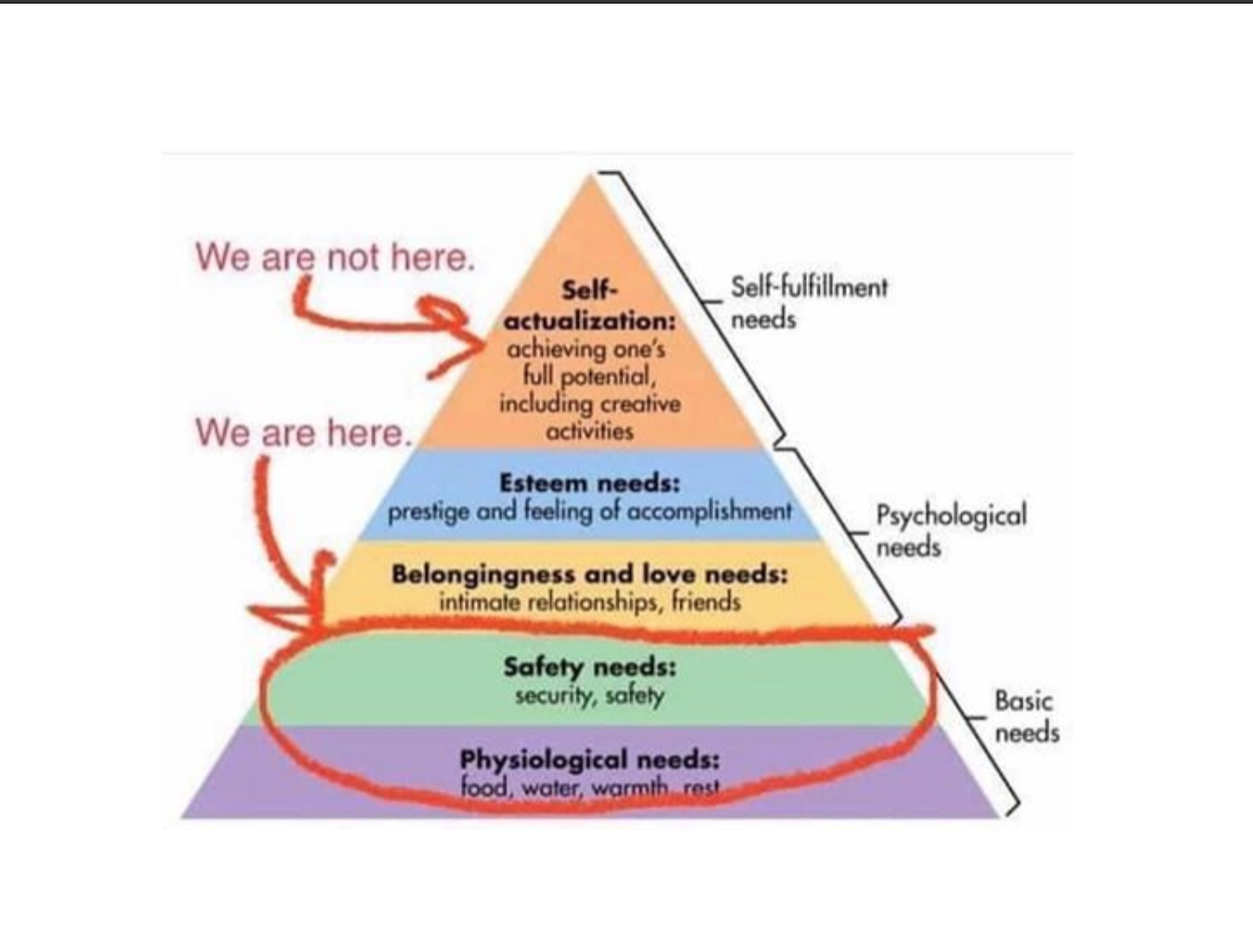 Contented Cow Partners | The Pandemic, Maslow and Us